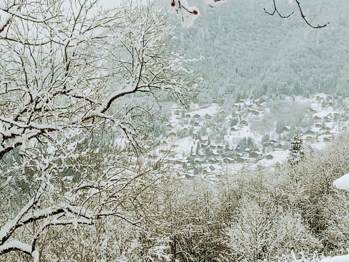 Aillon-le-Jeune Le Chalet Du Blanc Spa Yoga מראה חיצוני תמונה